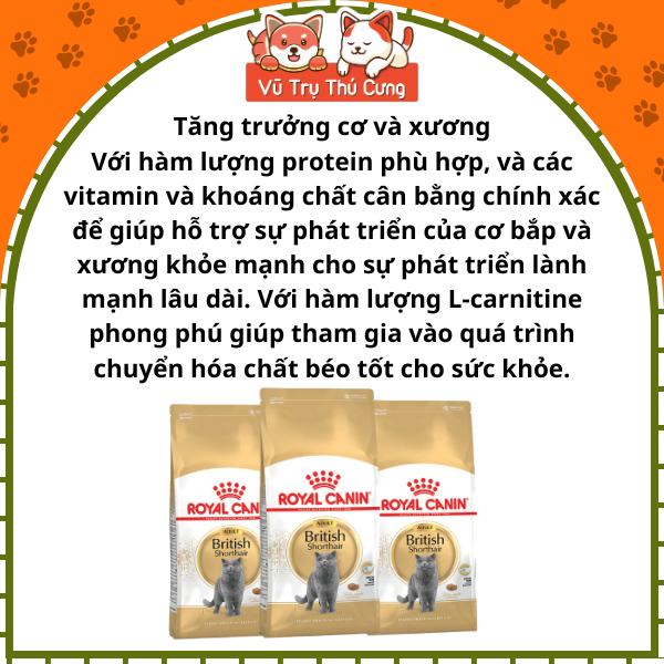 Hạt Royal Canin British Shorthair dành cho Mèo Anh Lông Ngắn trưởng thành 400g
