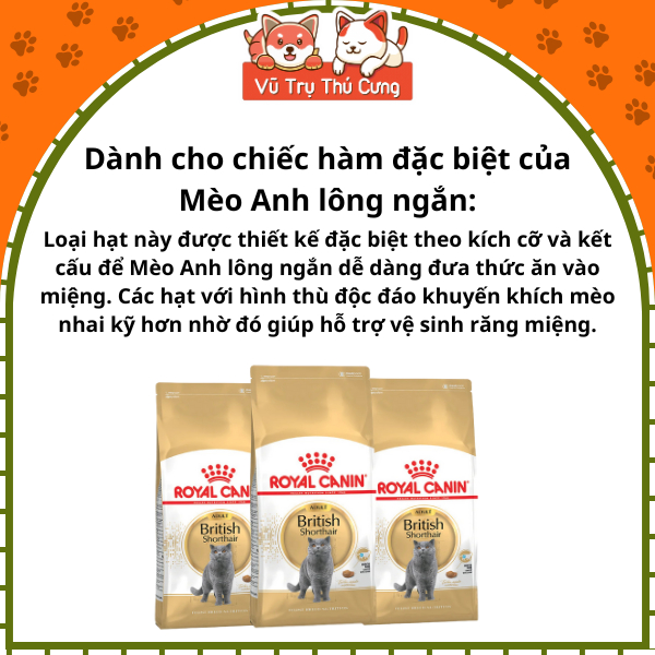 Hạt Royal Canin British Shorthair dành cho Mèo Anh Lông Ngắn trưởng thành 400g
