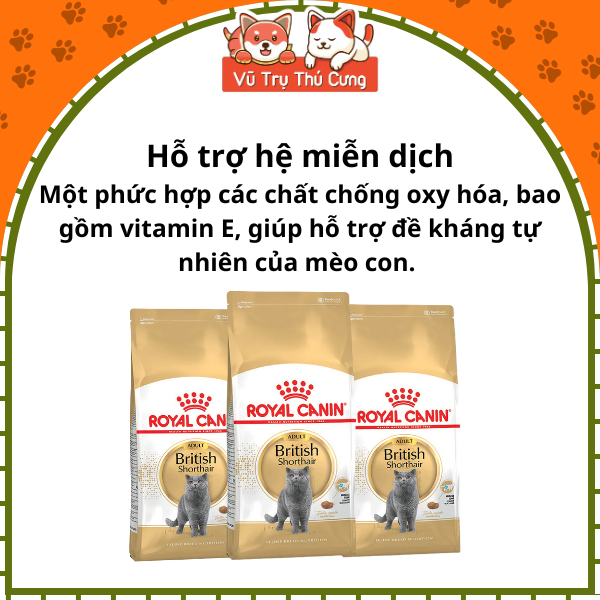 Hạt Royal Canin British Shorthair dành cho Mèo Anh Lông Ngắn trưởng thành 400g