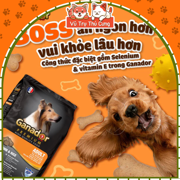 Thức Ăn Cho Chó, Hạt Ganador Cho Chó Trưởng Thành, Vị Cừu Gạo 400g