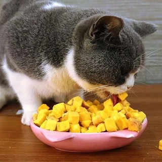 Lòng Đỏ Trứng Gà Sấy Khô Dành cho Chó, Mèo, Hamster, Nhím, Sóc Dinh Dưỡng