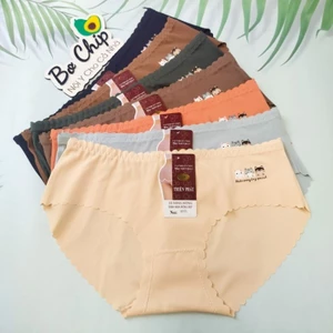 Quần lót nữ su trơn không đường viền, kháng khuẩn 4 chiều dịu nhẹ từ 50-60 ký - Đồ Lót Bơ Chíp