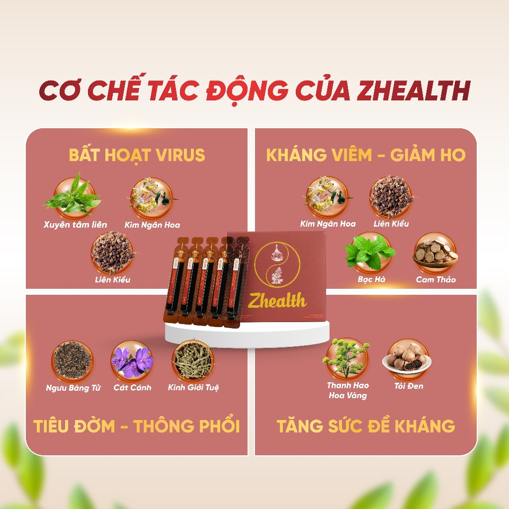 Ảnh Combo 5 hộp Bổ phế, Viêm Họng, Viêm Phế Quản Zhealth Hết Cảm Cúm, Giảm Ho Hiệu Qủa Zlove 2
