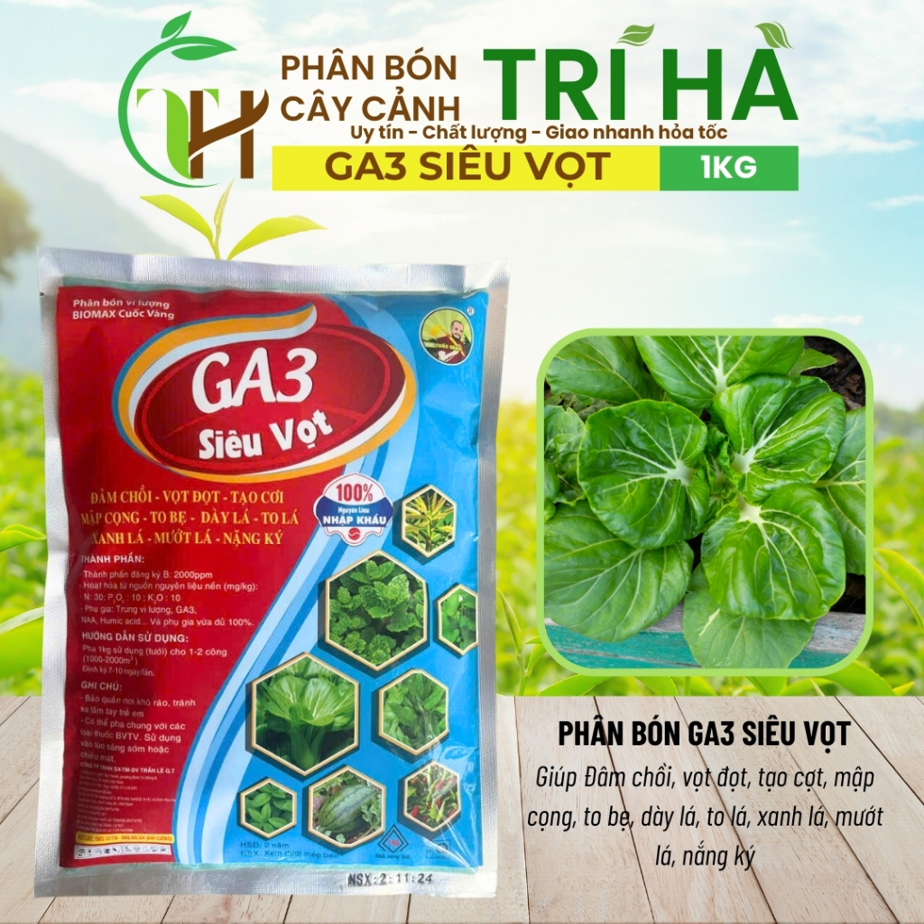 Phân Bón GA3 Siêu Vọt Gói 1kg - Giúp Cây Đâm Chồi, Vọt Đọt, Tạo Cơi ...