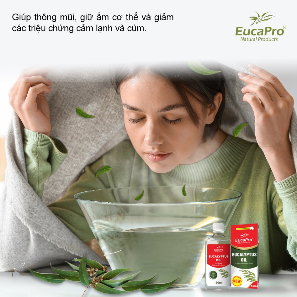 Dầu khuynh diệp Eucapro hỗ trợ giữ ấm, giảm ho