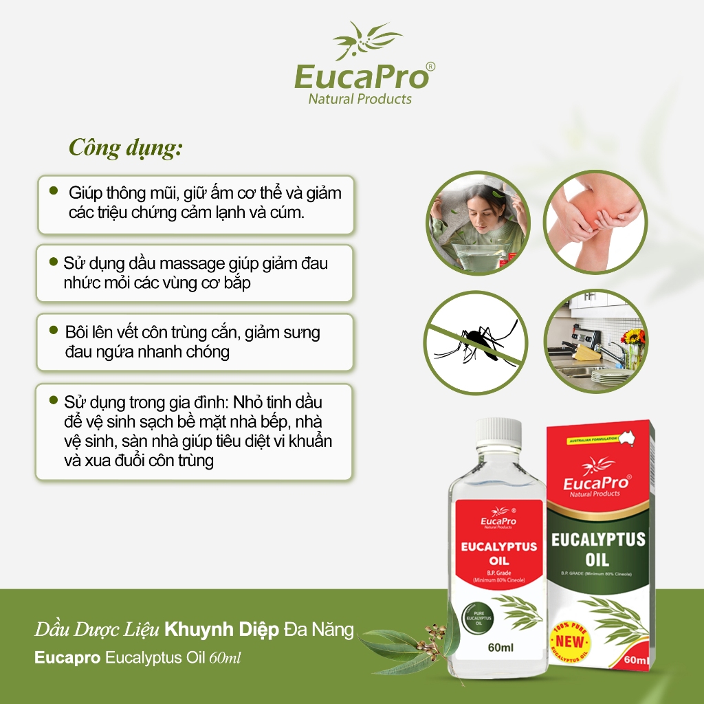 Dầu khuynh diệp Eucapro hỗ trợ giữ ấm, giảm ho