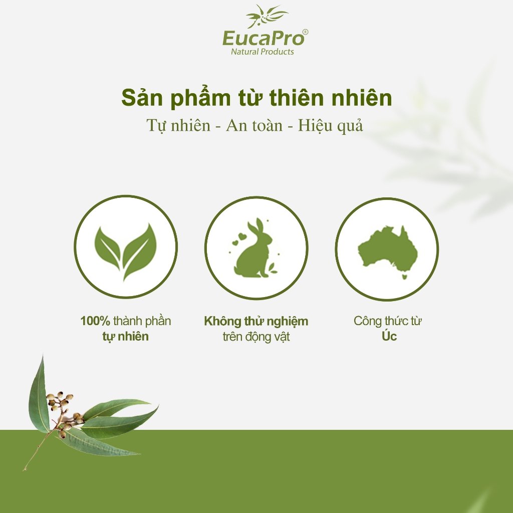 Cao Xoa Bóp Hiệu EucaPro Natural Products Chiết Xuất Khuynh Diệp 15g & 50g