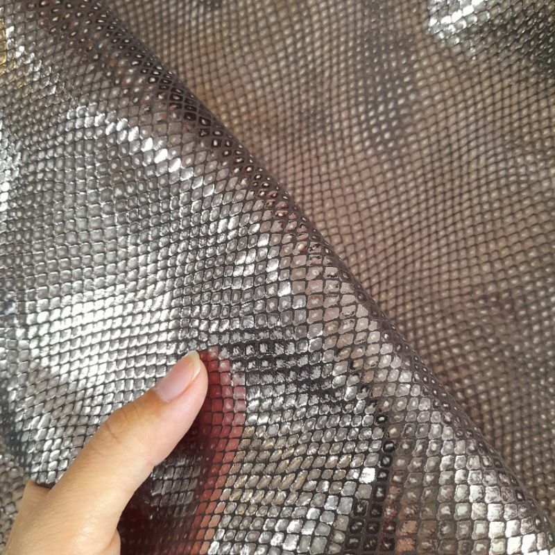Rắn metalic đồng