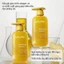 Dầu Gội Chiết Xuất Gừng, Kiềm Dầu, Giảm Rụng Tóc SPES Ginger Collagen Shampoo Oil Control And Volumizing