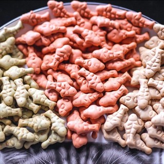 Bánh Cá Catnip, Bánh Cá Cỏ mèo Vị Cá Hồi, Cá Ngừ Snack Cho Mèo Làm Sạch Răng Pet Hub