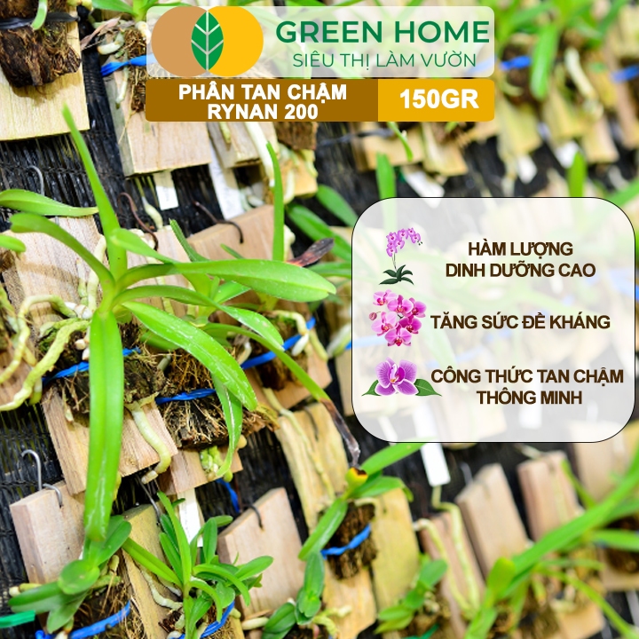 Ảnh Phân Tan Chậm Greenhome, Rynan 200, Chai 150gr, Dành Cho Phong Lan Con, Bonsai Kích Chồi, Dưỡng Chất 2