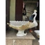 Lọ hoa con công mã bh213, Bình cắm hoa con công, bình hoa trang trí chất liệu composite