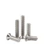 50 cái M2,M2.5 vít pake đầu bằng thân bulong inox304