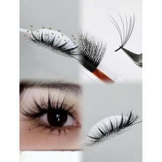Mi đa tầng Trung Hoa nối siêu bay \ độ cong chuẩn LB-LC \ dày 0.05 \ Mix 9-14mm  LASHES SUPPLY