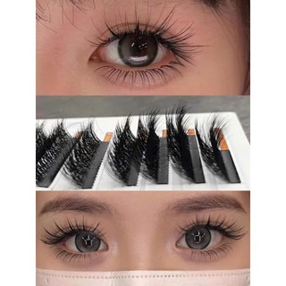 Mi đa tầng Trung Hoa nối siêu bay \ độ cong chuẩn LB-LC \ dày 0.05 \ Mix 9-14mm  LASHES SUPPLY
