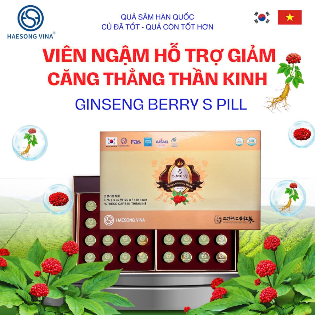VIÊN NGẬM HỖ TRỢ GIẢM CĂNG THẲNG THẦN KINH -GINGSENG BERRY S PILL - BÍ ...