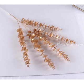 IK [CÀNH LỚN] Cành Rẻ Quạt, Đào Râu, Táo Đồng, Hoa Trạng Nguyên Trang Trí Tết 2025 D10