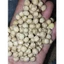 5KG Đậu Gà size 9mm (chickpea / garbanzo) Hữu Cơ Không Biến Đổi Gen _ đậu gà giá sỉ _ nông sản giá sỉ