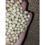 5KG Đậu Gà size 9mm (chickpea / garbanzo) Hữu Cơ Không Biến Đổi Gen _ đậu gà giá sỉ _ nông sản giá sỉ