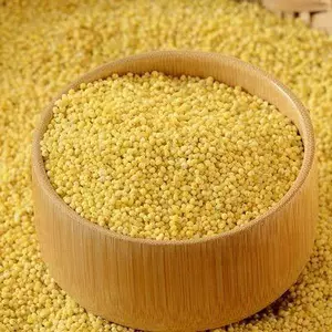 5KG Hạt kê vàng tách vỏ, Hạt kê nếp vàng dẻo, _ Hạt kê nếp vàng giá sỉ _ hạt kê tách vỏ giá sỉ _ nông sản giá sỉ
