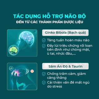 Viên Uống Powergra Neuro Balance Bổ Não, Tăng Cường Trí Nhớ, Cải Thiện Tuần Hoàn Máu Não, Tăng Tập Trung - Hộp 60 Viên