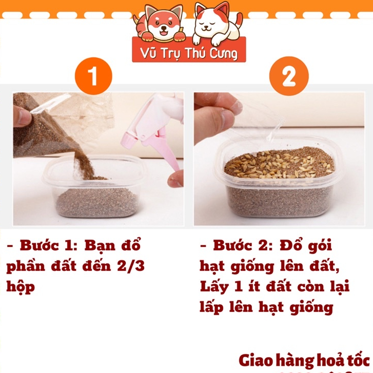 Hạt giống cỏ mèo tiêu búi lông, giảm hôi miệng, giải toả căng thẳng cho Mèo