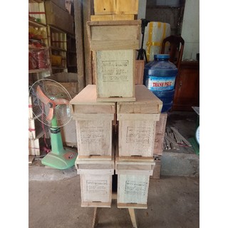 Combo thùng nuôi ong Nội MINI cầu có dây