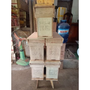 Combo thùng nuôi ong Nội MINI cầu có dây