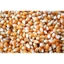10KG BẮP RANG BƠ / BẮP NỔ BỎNG/ NGÔ NỔ BỎNG/ Hạt ngô mỹ làm bắp rang bơ _ bắp rang bơ gía sỉ nongsangiasi