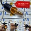 Bóng Đèn LED 5W Dùng Cho Lồng Đèn Hội An size 30-40-60cm
