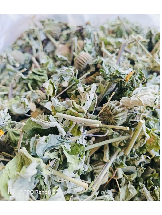 cây cối xay khô hỗ trợ làm sạch đường hô hấp