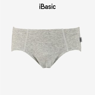 Pack 3 quần lót tam giác cho bé trai iBasic cotton USA 4-12 tuổi PANB029-PA3