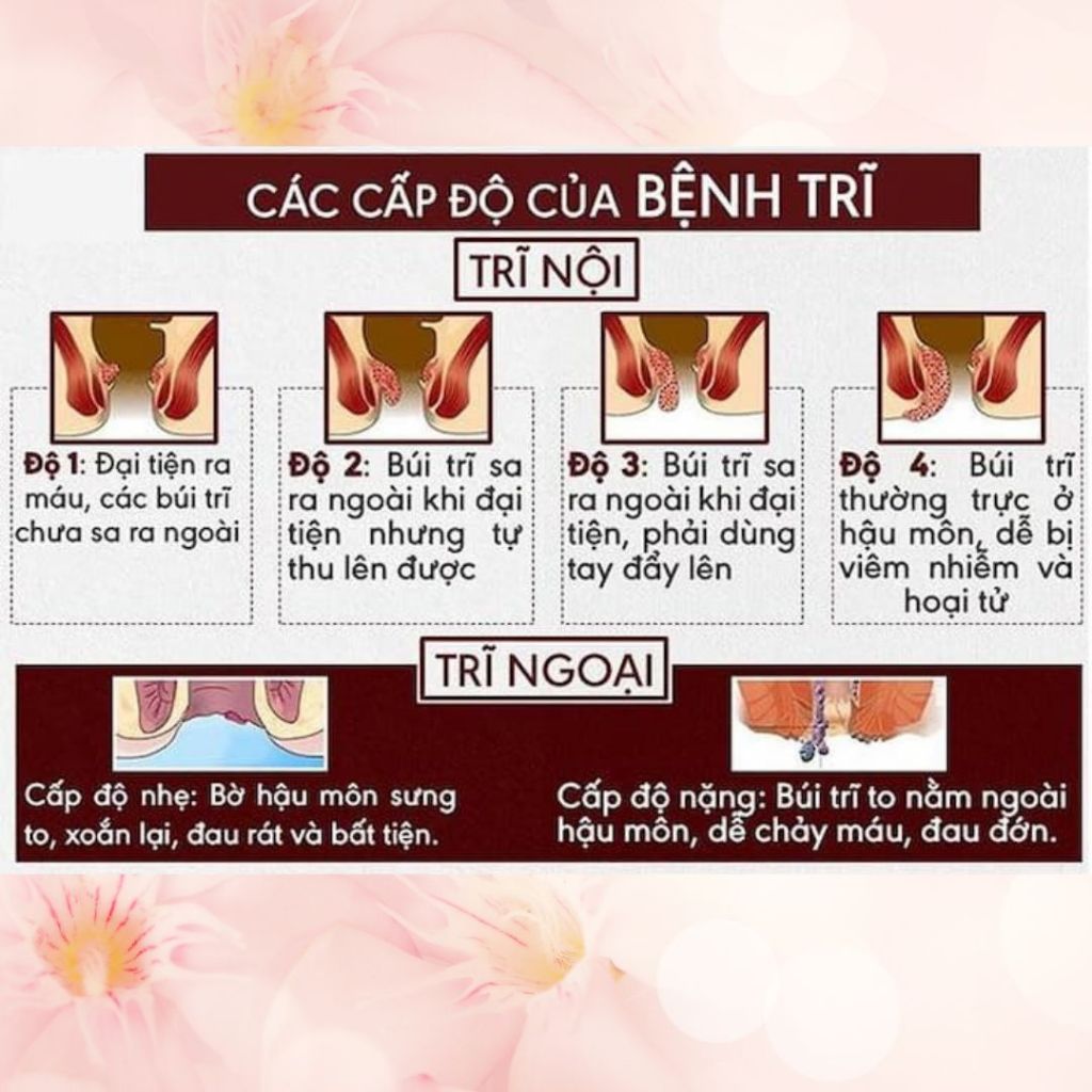 [Có Che Tên] Kem Bôi Trĩ - Bội Lan Đường - Trĩ nội, trĩ ngoại, Táo Bón, ngứa rát Hậu Môn, Giúp Co Nhanh Búi Trĩ - hũ 20g