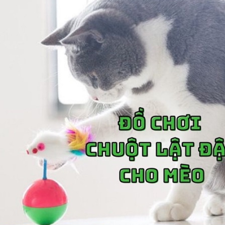 Đồ Chơi Chuột Lật Đật Cho Mèo Tương Tác