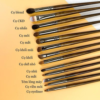 BỘ CỌ OVW 14 và 22 cây