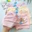 Quần Lót đùi cho bé gái size 8-30 ký cotton kháng khuẩn, chất liệu mịn đẹp - Đồ Lót Bơ Chíp