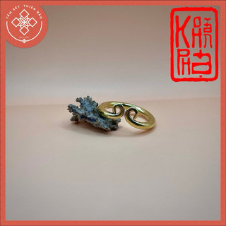 Gold-Plated Ring by Tầm Sét Thiên Bảo Official