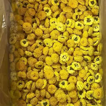 1KG Trà hoa cúc (hoa cúc tiến Vua) sấy lạnh nguyên bông, hàng đẹp-Mộc Trà Quán