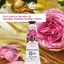 Kem dưỡng da tay Yves Rocher hand cream đủ mùi