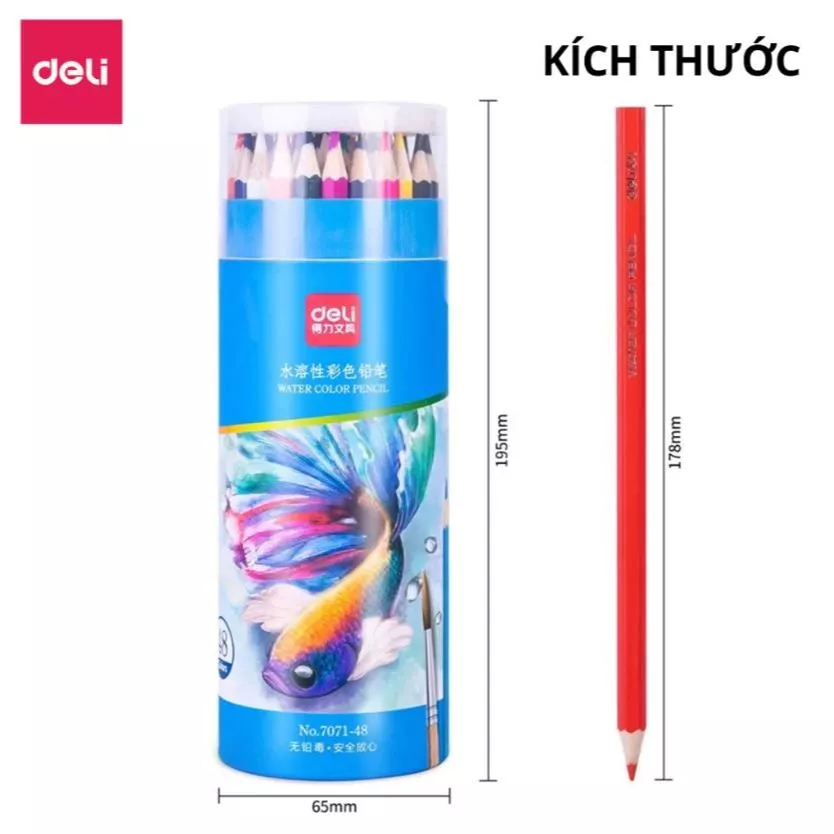 [Hỏa tốc HCM] Bút chì màu Deli gốc nước dạng cốc 7071 màu sắc tươi sáng 12/24/36/48 màu