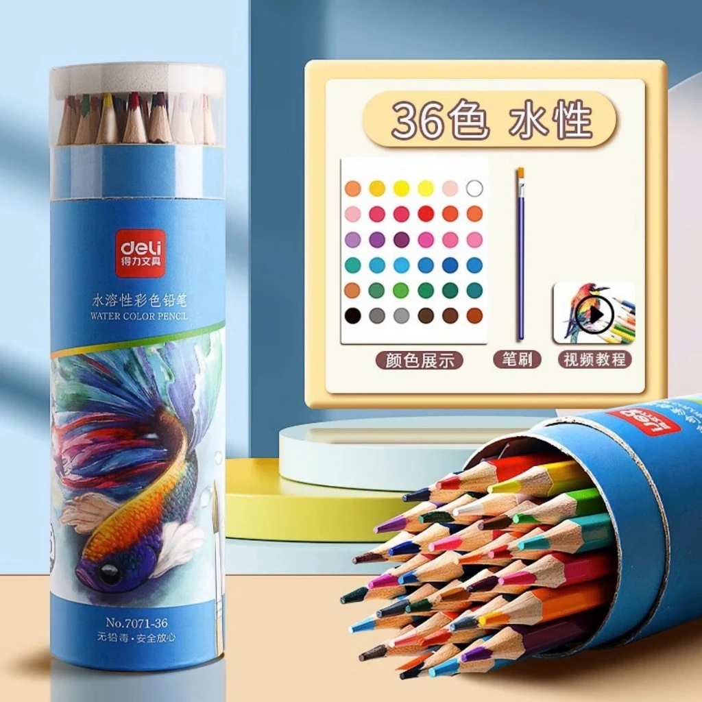 [Hỏa tốc HCM] Bút chì màu Deli gốc nước dạng cốc 7071 màu sắc tươi sáng 12/24/36/48 màu