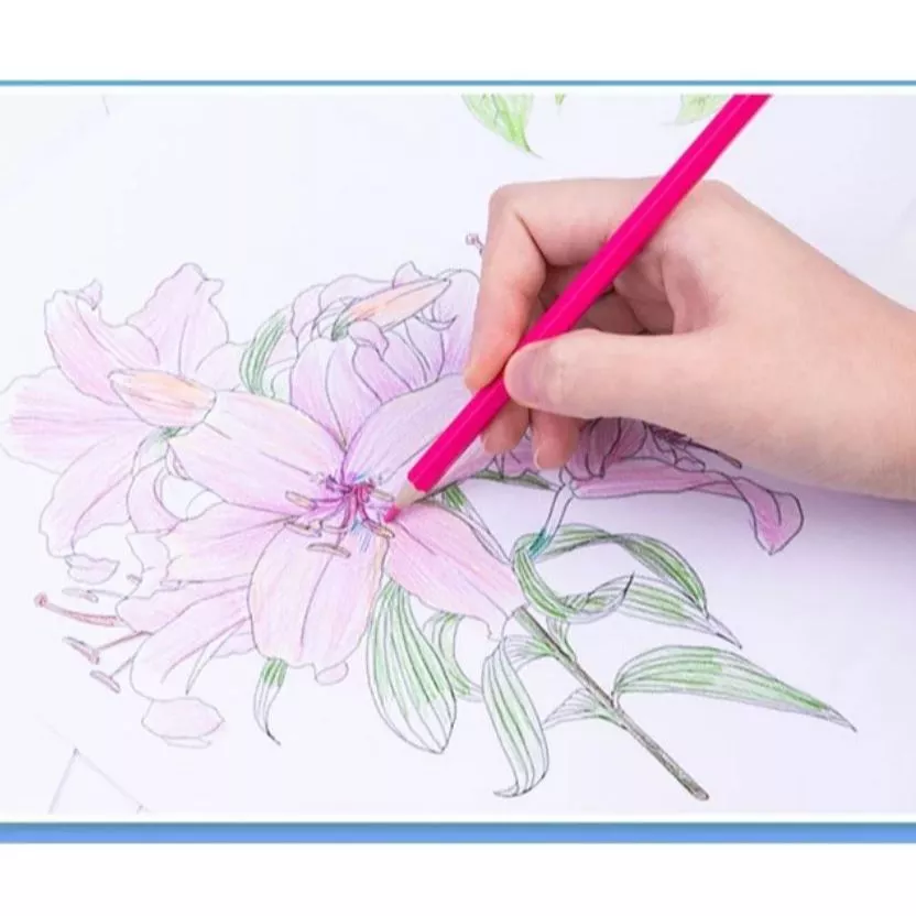 [Hỏa tốc HCM] Bút chì màu Deli gốc nước dạng cốc 7071 màu sắc tươi sáng 12/24/36/48 màu