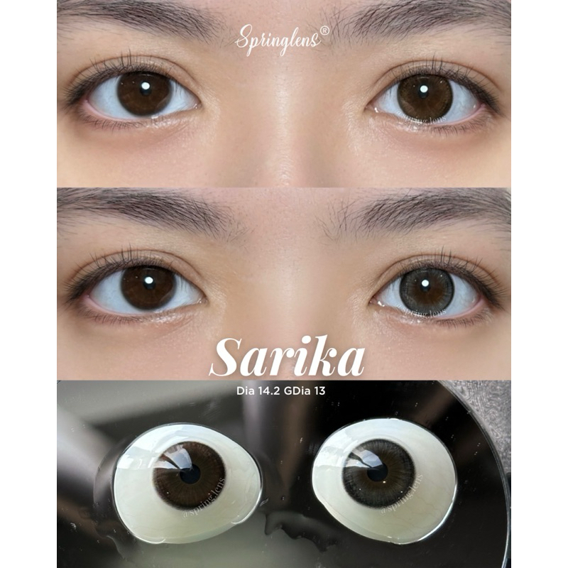 Kính áp tròng Sarika Brown nâu choco tự nhiên giãn nhẹ Silicone Hydrogel 1 tháng | Spring Lens