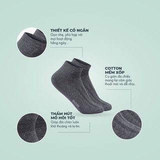 Tất vớ nam không cổ công sở, vớ đi giày tây cotton ONOFF Extra kháng khuẩn khử mùi 18AP24A147