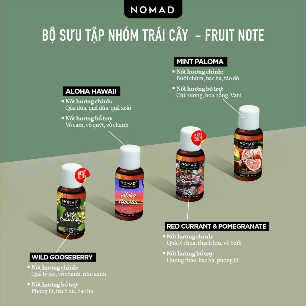 Ảnh Tinh Dầu Thơm Phòng Nguyên Chất Đậm Đặc Nomad Signature Blend Oils 1