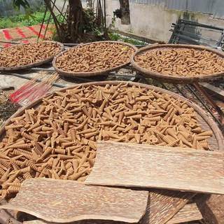 [MUA 1 TẶNG 1] 1 Ký Nụ Trầm Thảo Mộc, Trầm Hương Tự Nhiên, Trầm Huế Tỏa Khói Dùng Cho Thác, Lư, Không Hóa Chất, 540 Nụ