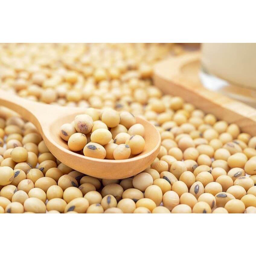 1KG ĐẬU NÀNH sạch (đỗ tương, đậu tương) _ hàng chuẩn đẹp làm sữa hạt, làm Đậu hũ (đậu phụ) _ đậu nành giá sỉ