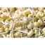 5KG ĐẬU NÀNH sạch (đỗ tương, đậu tương) hàng chuẩn đẹp _ đậu nành giá sỉ _ đậu tương giá rẻ _ nongsangiasi