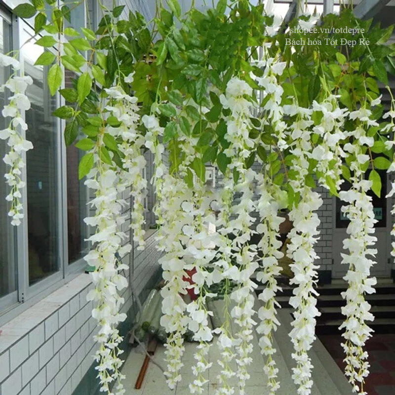 Cành Tử Đằng - Cây Giả Cao Cấp