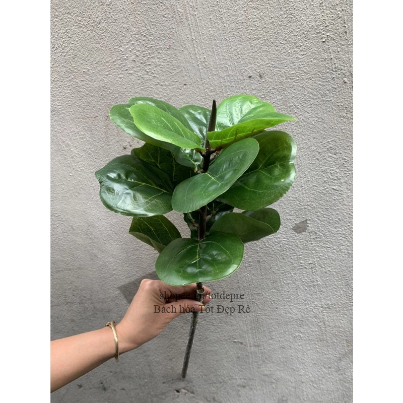 Cây bàng singapore 1m -Cây giả cao cấp